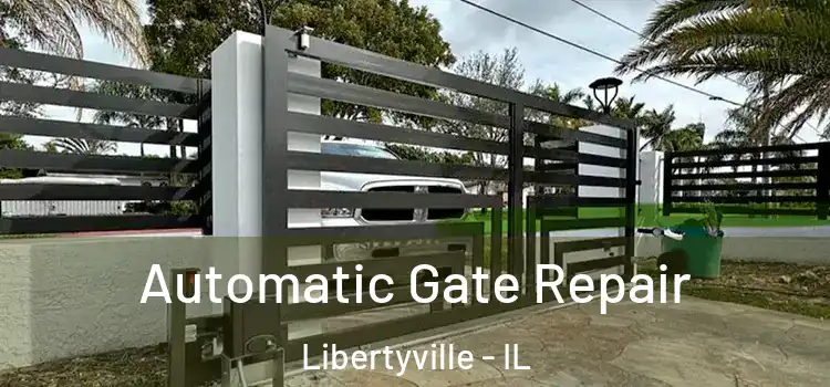Automatic Gate Repair Libertyville - IL