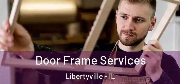 Door Frame Services Libertyville - IL