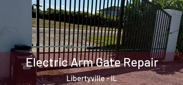 Electric Arm Gate Repair Libertyville - IL