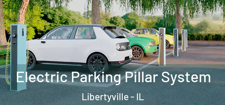 Electric Parking Pillar System Libertyville - IL