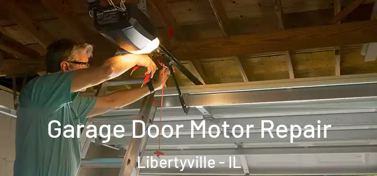  Garage Door Motor Repair Libertyville - IL