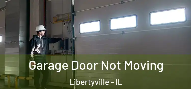  Garage Door Not Moving Libertyville - IL