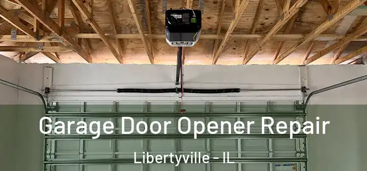  Garage Door Opener Repair Libertyville - IL