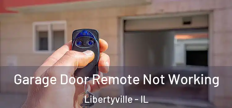  Garage Door Remote Not Working Libertyville - IL