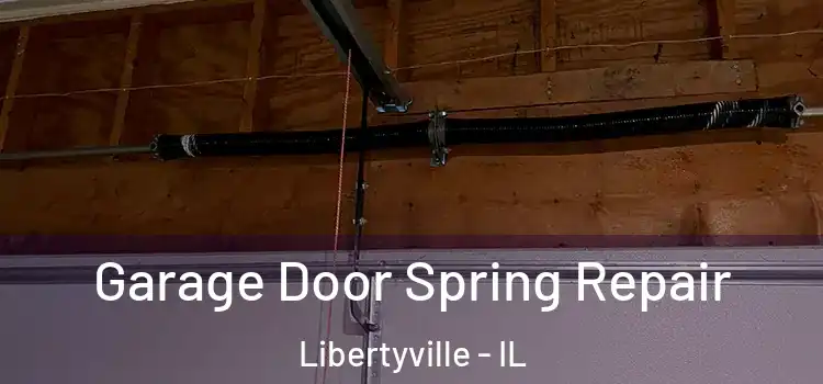  Garage Door Spring Repair Libertyville - IL