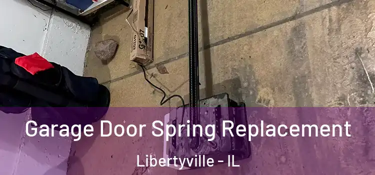  Garage Door Spring Replacement Libertyville - IL