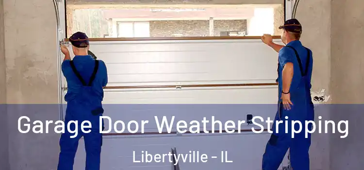  Garage Door Weather Stripping Libertyville - IL