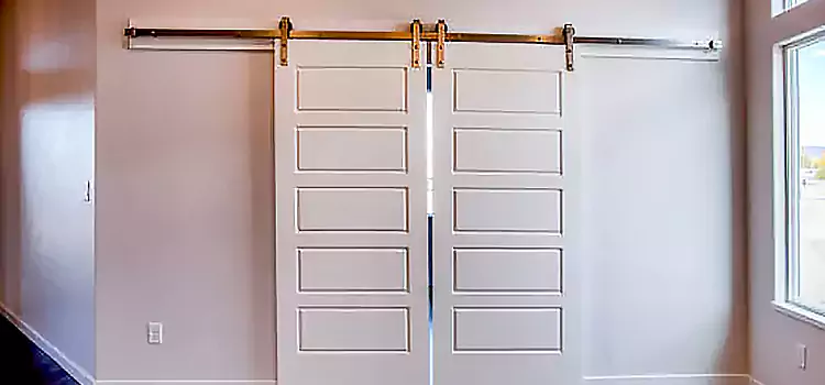 Glass Barn Door with Installation Hardware Kit Libertyville