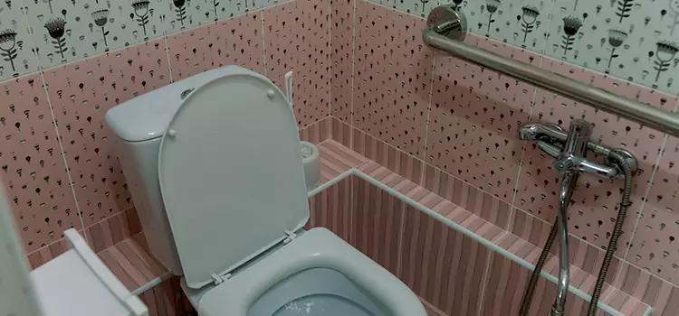 Meeting Diverse Needs With Accessible Restroom Solutions in Libertyville, IL