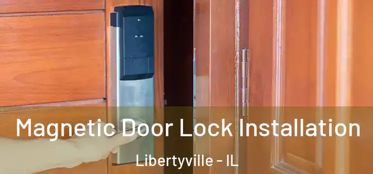  Magnetic Door Lock Installation Libertyville - IL
