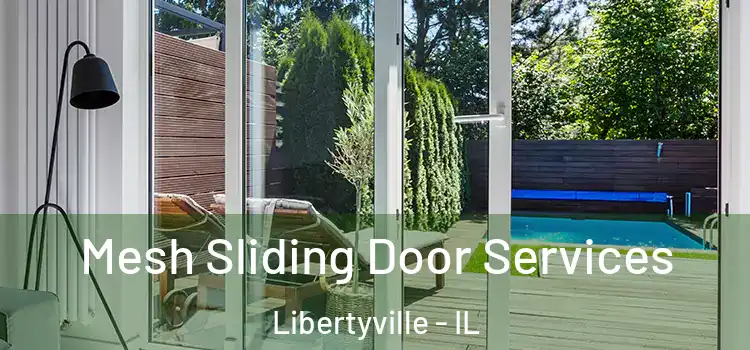  Mesh Sliding Door Services Libertyville - IL