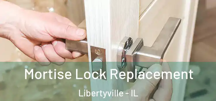 Mortise Lock Replacement Libertyville - IL