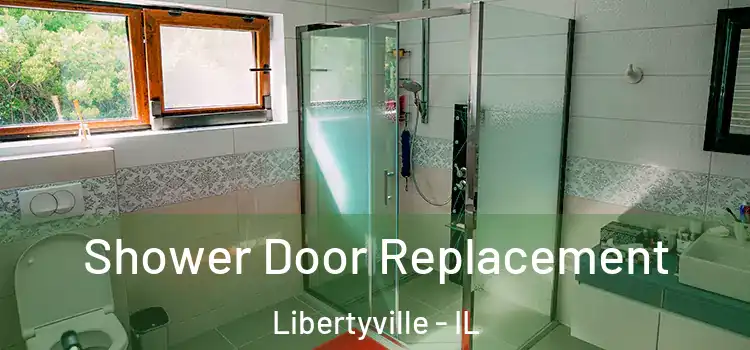 Shower Door Replacement Libertyville - IL