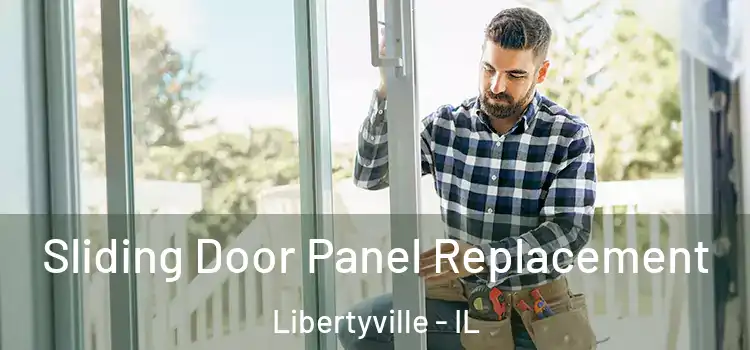  Sliding Door Panel Replacement Libertyville - IL