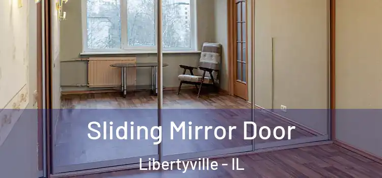  Sliding Mirror Door Libertyville - IL