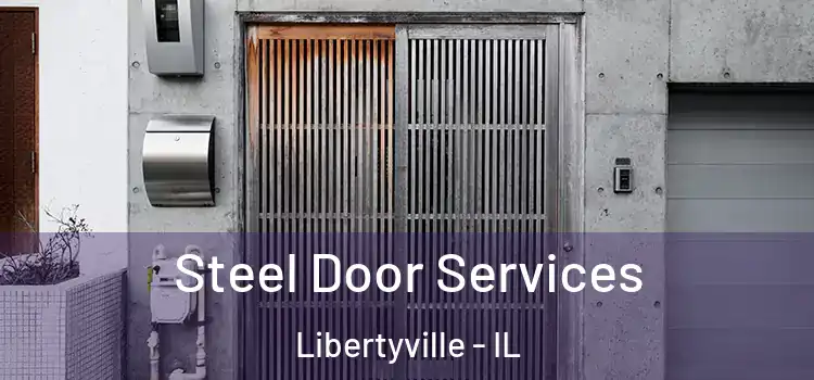 Steel Door Services Libertyville - IL